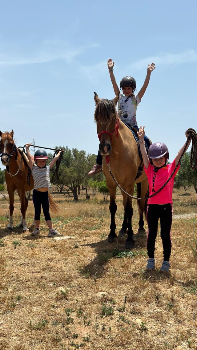 🐴 Reiterferien auf Can Agustín

Stroh im Haar, Sommersprossen auf der Nase, Staub an den Stiefeln und das breiteste Strahlen im Gesicht: Wenn dein Kind Pferde liebt, dann kann das hier vielleicht der schönste Teil des Sommers werden!

Unsere Reiterferien für Kinder & Jugendliche:

⭐ 3 Vormittage voller Pferdeglück - auf Wunsch erweiterbar
⭐ jeweils von 8–11 Uhr
⭐ Für Kids & Teens von 5–14 Jahren
⭐ Preis: 290 € (-20% Residentenrabatt)

Was gehört dazu?

🔹 Reiten, Bodenarbeit, Reiterspiele, Trail-Parcours
🔹 Geführte Ausritte
🔹 Ponyalltag inklusive: Striegeln, Füttern, Abäppeln, Kuscheln - auch das gehört dazu!
🔹 Unsere geduldigen und gut ausgebildeten Kollegen: Rayo, Balu, Libby, Hans & Co. freuen sich!

Egal ob dein Kind erst ein paar Longenstunden hatte oder schon sattelfest ist: Bei uns lernt es mit Spaß und Herz, was es heißt, mit Pferden zu sein. Unsere Gruppen sind klein, persönlich und altersgerecht.

👉 Warum dein Kind dabei sein sollte?
Weil es bei uns nicht nur reitet, sondern auch echte Verantwortung und respektvollen Umgang gegenüber Pferden lernt. In anderen Worten: Dein Kind wächst.

☀️ Und hat nebenbei das beste Sommergefühl überhaupt!! Seid ihr dabei?

Buchung & Fragen:
+34 614 150 553 (Reiter-Handy)
+34 627 214 192 (Büro)
+34 624 784 815 (Büro)

Oder schreib uns eine Mail an: info@canagustin.es

#reiterferien #kinderreiten #igmallorca #mallorcamitkindern #CanAgustin #Pferdeliebe #Familienurlaub #mallorcaguide #deutscheaufmallorca #mallorcahorses #pferdemädchen #ponyreiten