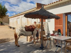 Pferd auf der Terrasse